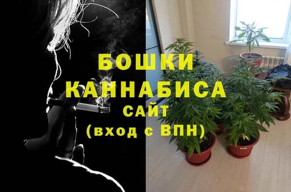 МДПВ Надым