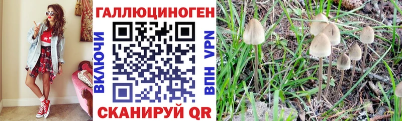 MEGA tor  Задонск  Псилоцибиновые грибы Psilocybe 