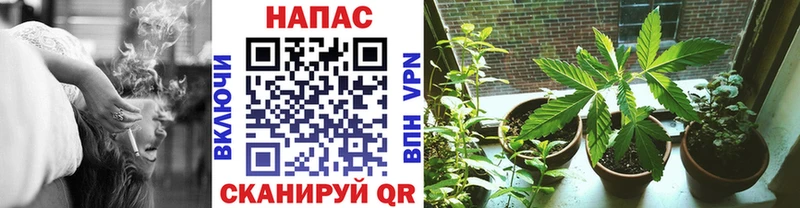Конопля марихуана  Задонск 